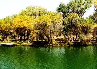 綠化公司為您介紹城市公園植物的配置原（yuán）則