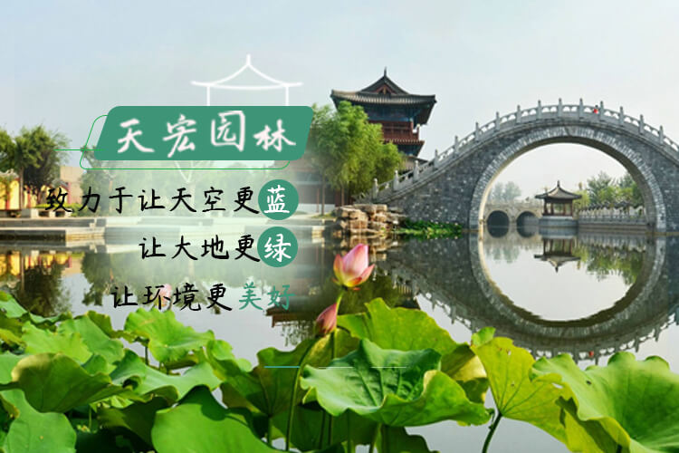 北京免费看的污视频软件園林綠（lǜ）化養護有限公司