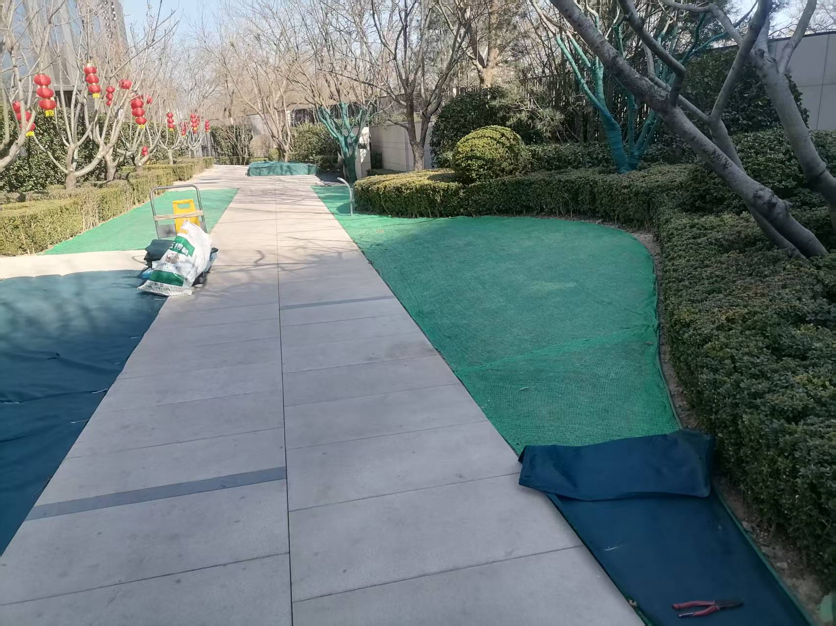 北京春季（jì）園林綠化（huà）養護之（zhī）撤除防（fáng）寒布