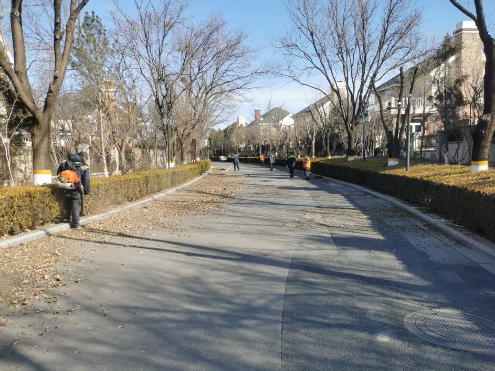 北京（jīng）春季園林綠化養護指南之春季清（qīng）園