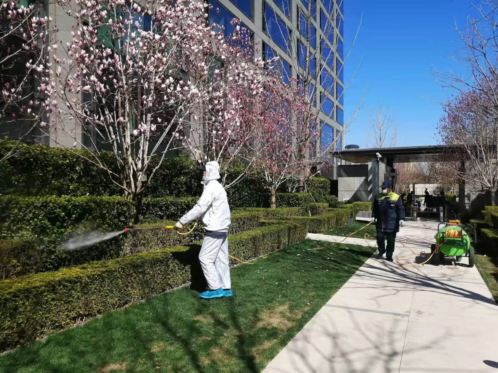 北京（jīng）春季園林綠化養護之要點