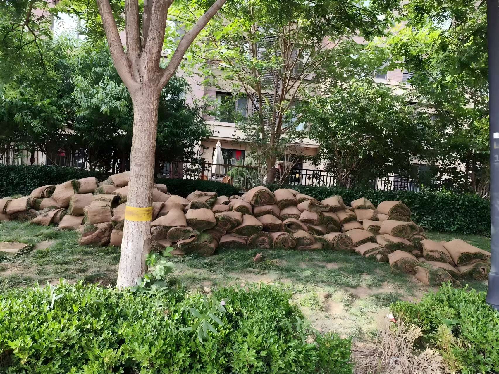 天津綠化養護之（zhī）某小區鹽堿地治理（lǐ）方案