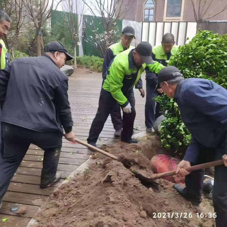 園林綠化工程施工中（zhōng）有那些注意事項